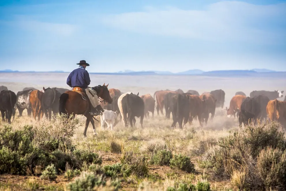 Ranches